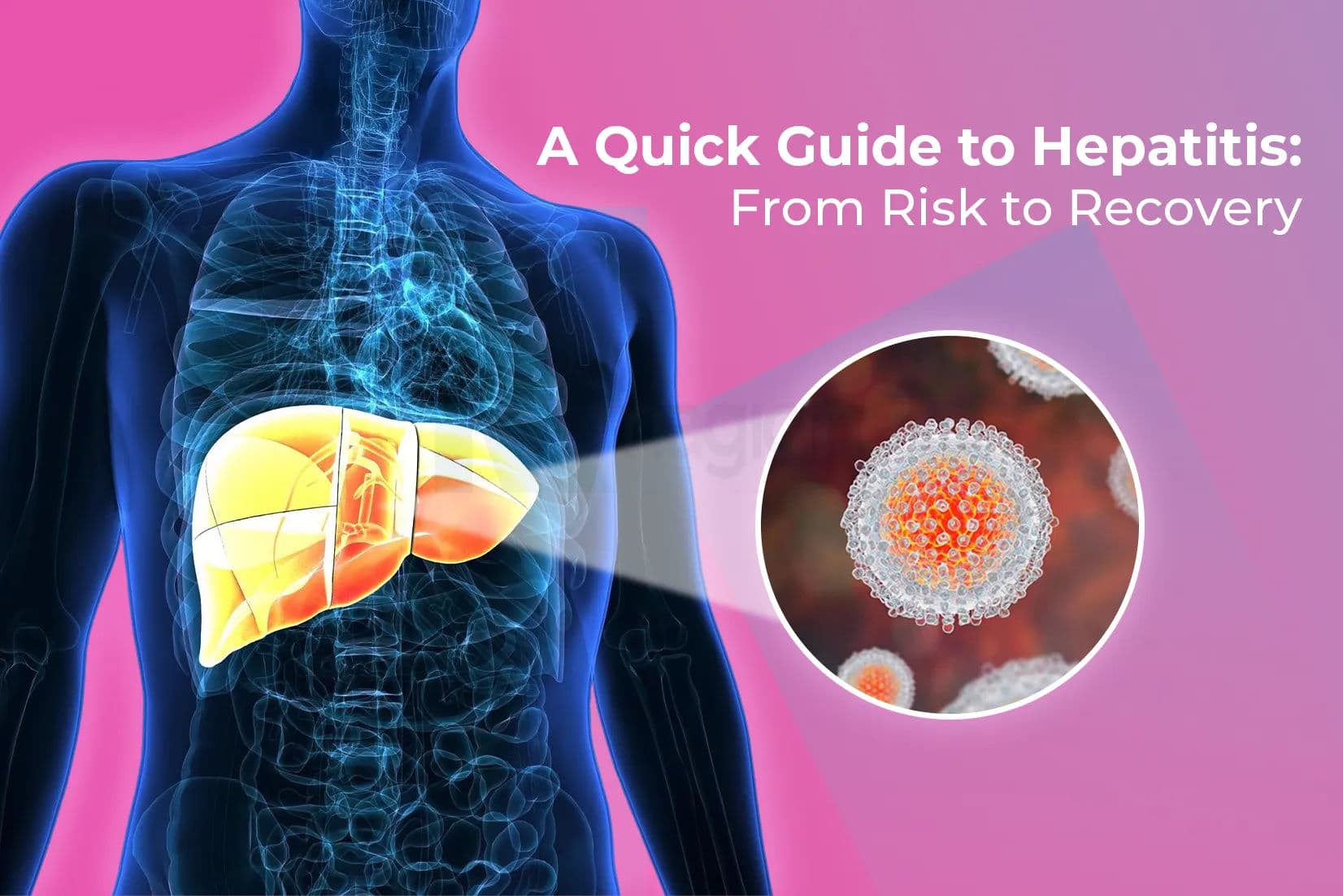 A Quick Guide to Hepatitis: From Risk to Recovery